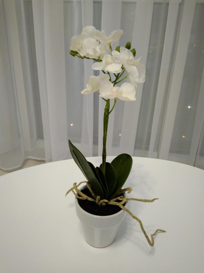 Astashkina Apartment Одеса Екстериор снимка
